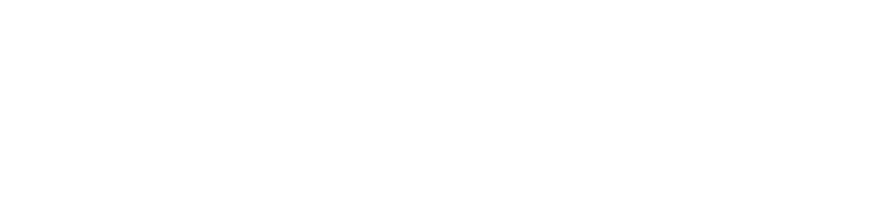 AVME